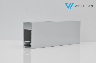 Silver Electrophoresis